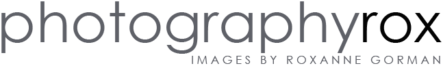 photographyrox logo